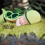 Turtle Shell, Hat, And Dia..